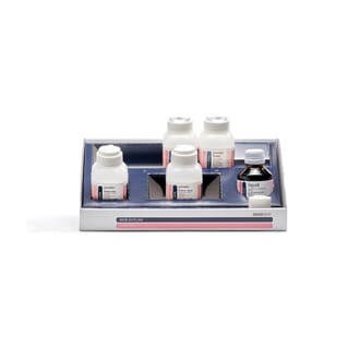 New Outline Starter Kit XS B